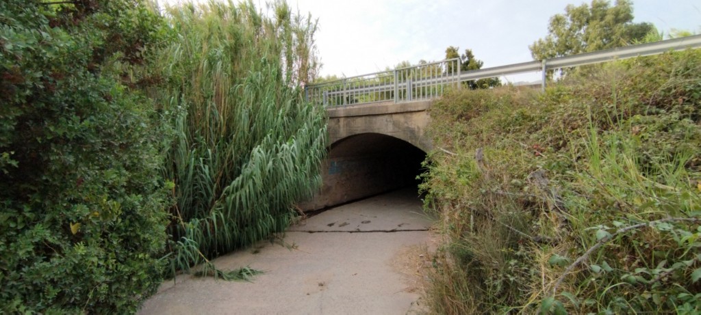 Foto: Valdevaqueros - Tarifa (Cádiz), España