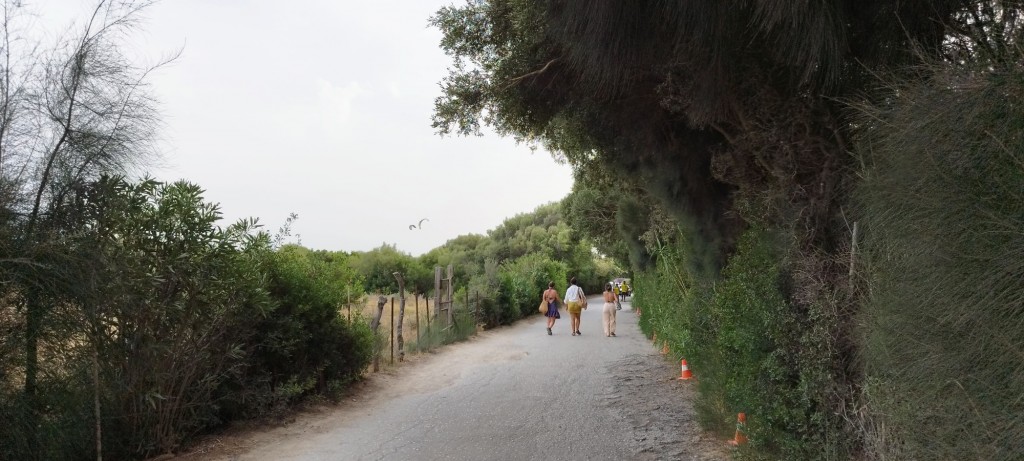 Foto: Valdevaqueros - Tarifa (Cádiz), España