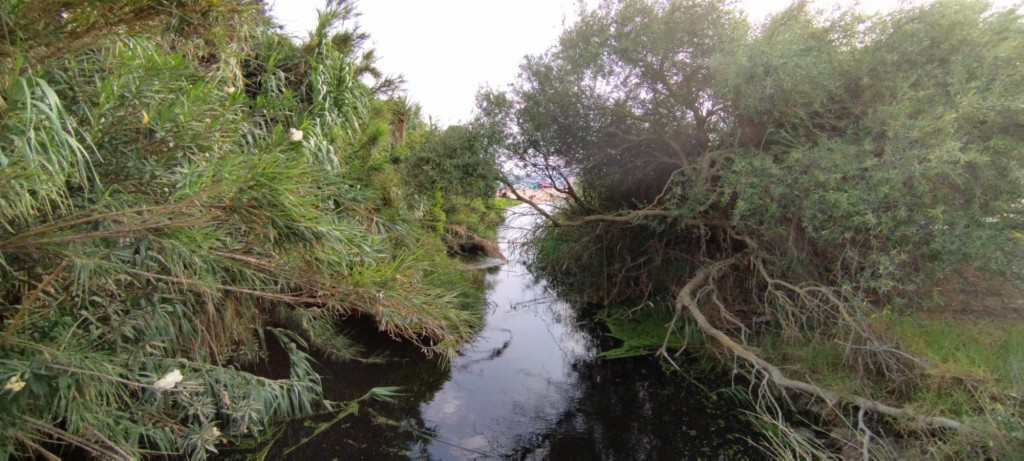 Foto: Valdevaqueros - Tarifa (Cádiz), España