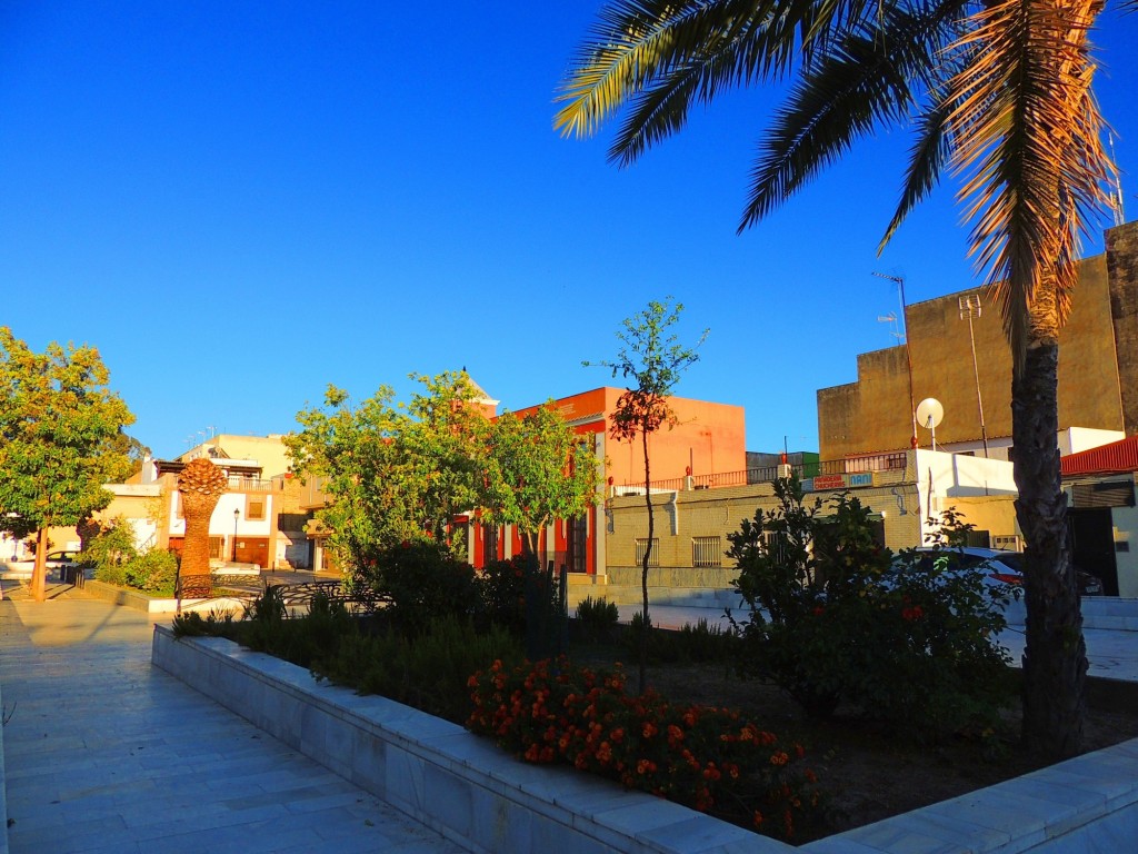 Foto: Plaza Garcia Lorca - Isla Mayor (Sevilla), España