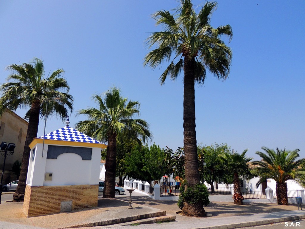 Foto: Plaza las Monjas - Bornos (Cádiz), España