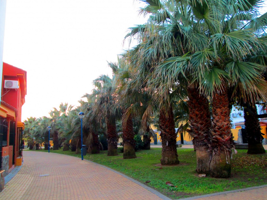 Foto: Plaza Galicia - San Fernando (Cádiz), España