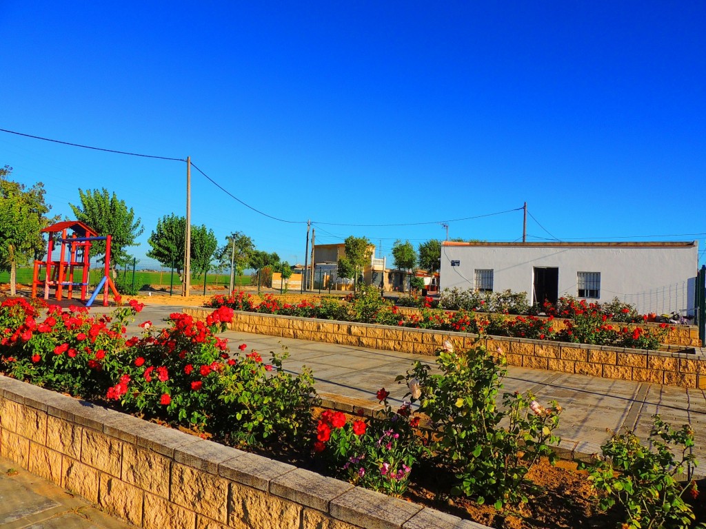 Foto: Plaza Manuel Reja - Alfonso XIII (Sevilla), España