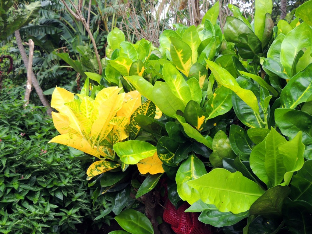 Foto: Mirador Cocibolca - Cocibolca, Nicaragua