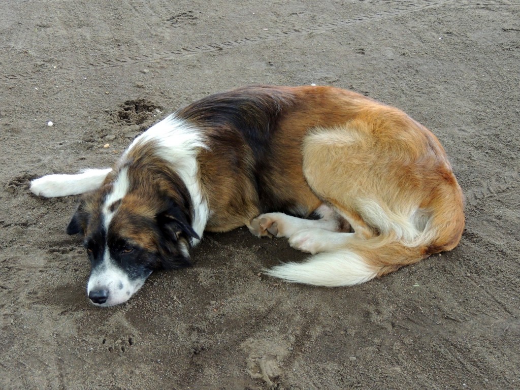 Foto: Mirador Cocibolca - Cocibolca, Nicaragua