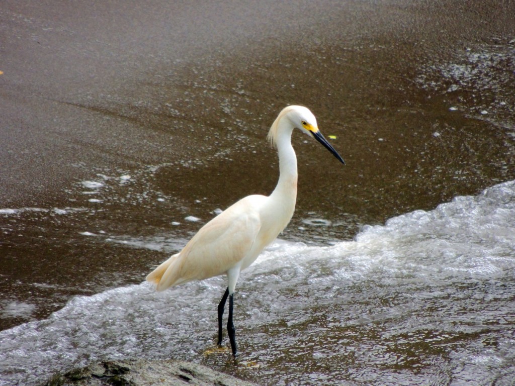Foto: Mirador Cocibolca - Cocibolca, Nicaragua