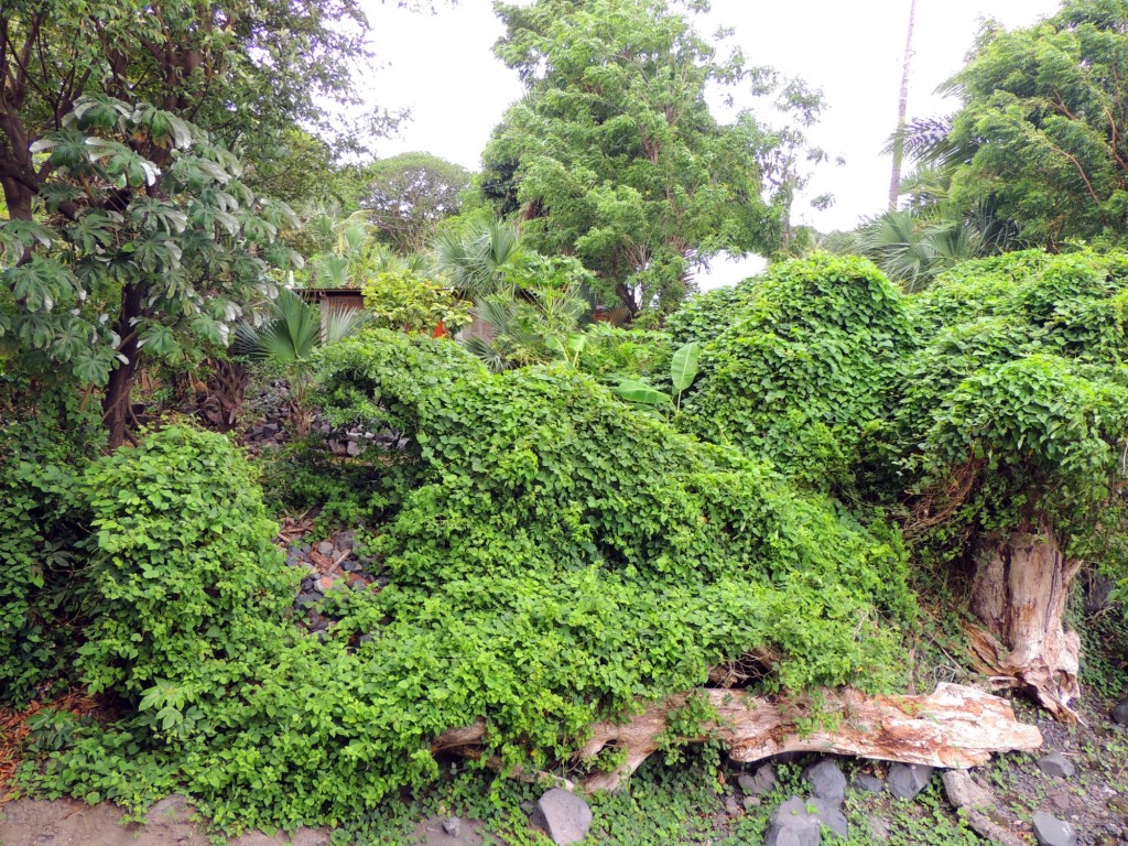 Foto: Mirador Cocibolca - Cocibolca, Nicaragua