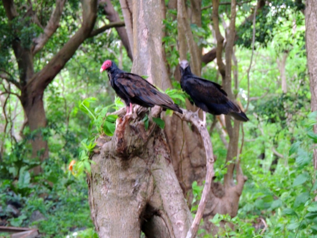 Foto: Mirador Cocibolca - Cocibolca, Nicaragua