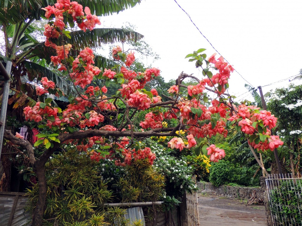 Foto: Mirador Cocibolca - Cocibolca, Nicaragua