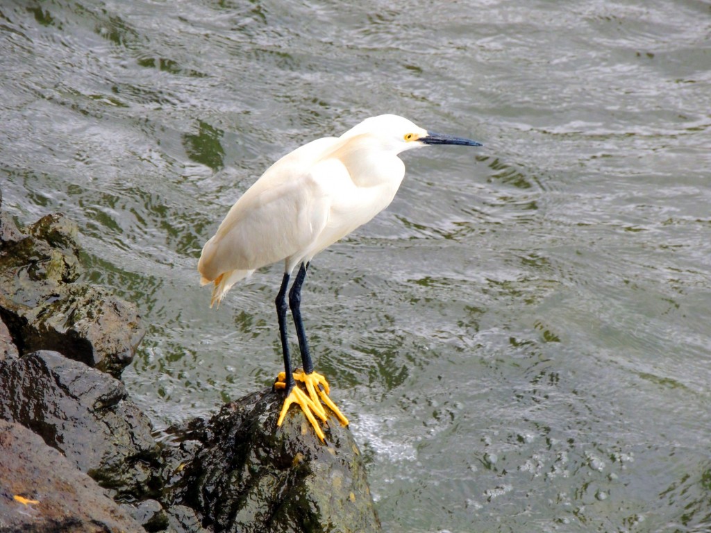 Foto: Mirador Cocibolca - Cocibolca, Nicaragua