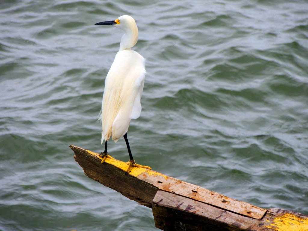 Foto: Mirador Cocibolca - Cocibolca, Nicaragua