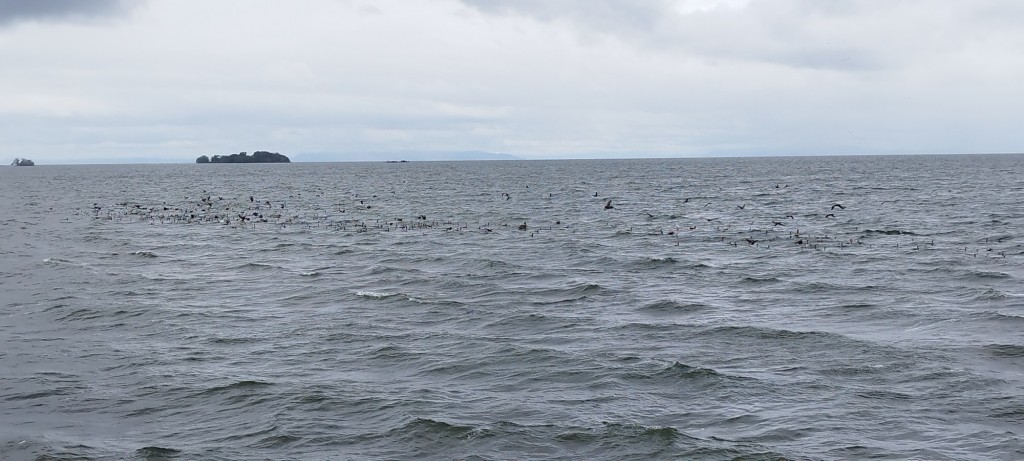 Foto: Mirador Cocibolca - Cocibolca, Nicaragua
