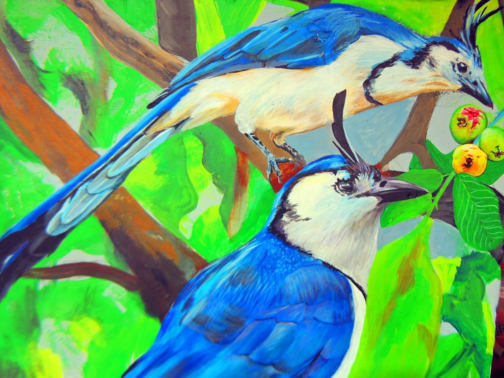 Foto: Artesanías San Juan de Oriente - San Juan de Oriente, Nicaragua