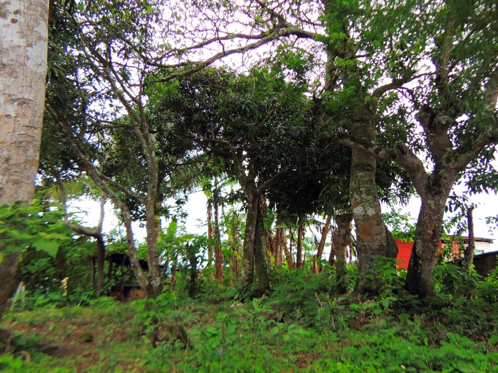 Foto: Artesanías San Juan de Oriente - San Juan de Oriente, Nicaragua