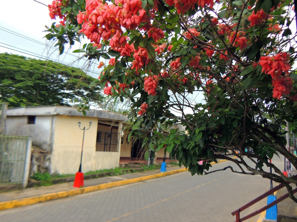 Foto: Artesanías San Juan de Oriente - San Juan de Oriente, Nicaragua