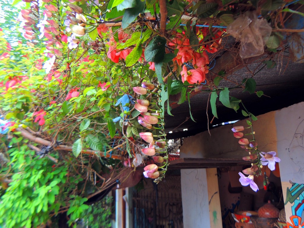 Foto: Artesanías San Juan de Oriente - San Juan de Oriente, Nicaragua