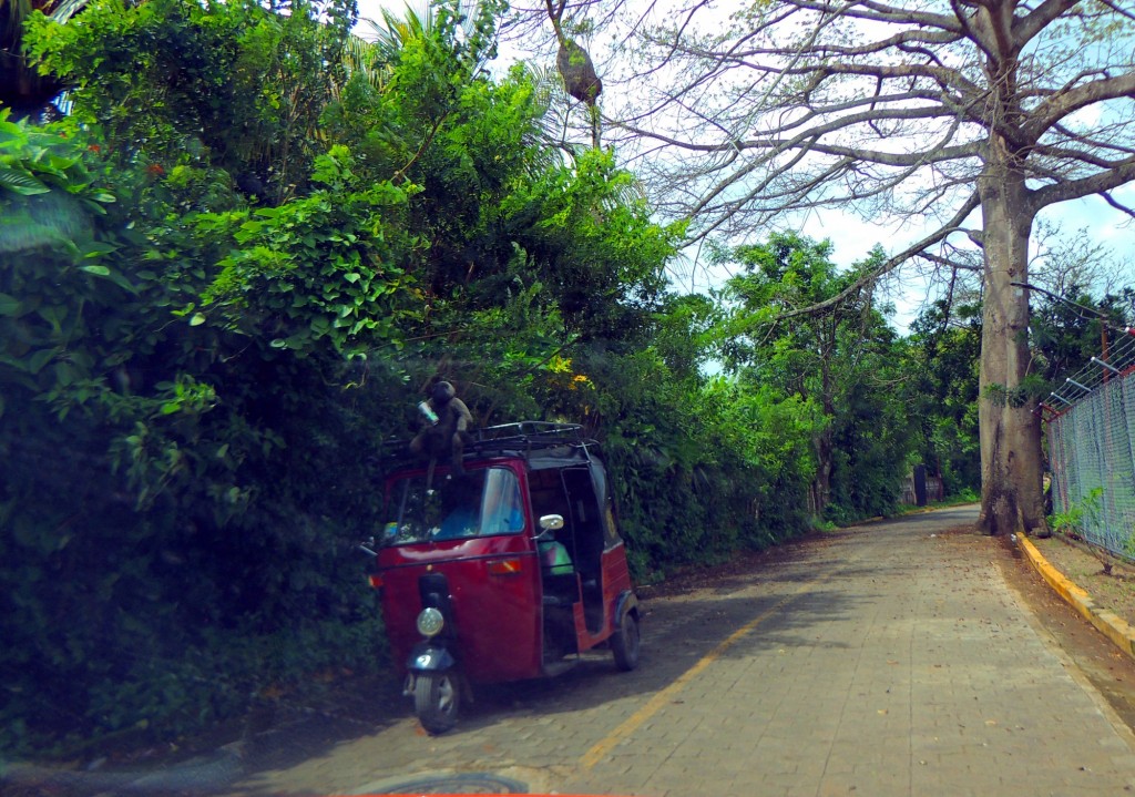 Foto: Artesanías San Juan de Oriente - San Juan de Oriente, Nicaragua