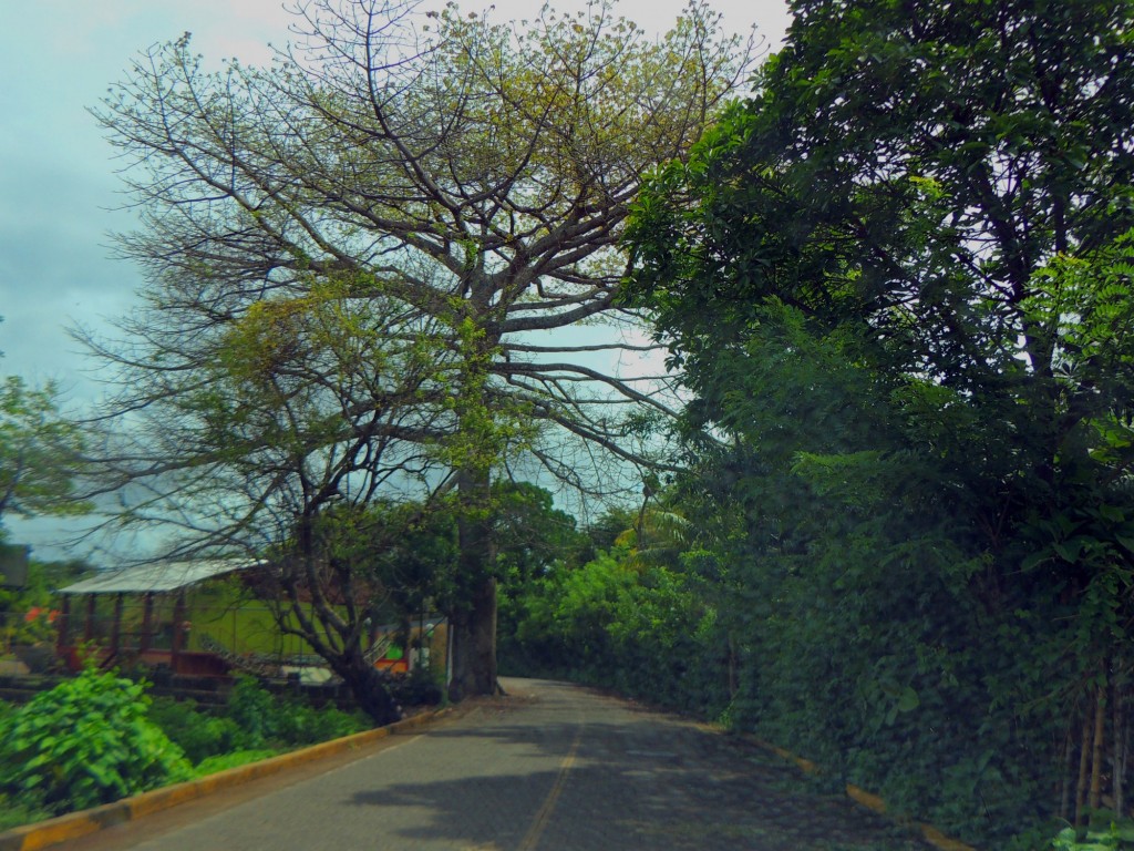 Foto: Artesanías San Juan de Oriente - San Juan de Oriente, Nicaragua