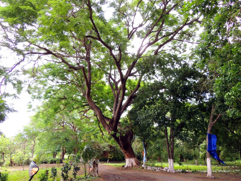 Foto: Playa Punta Jesús María - Ometepe,Punta Jesús María, Nicaragua