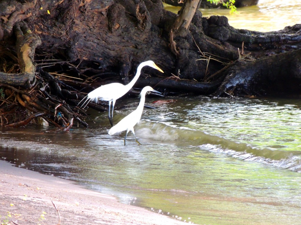 Foto: Playa Punta Jesús María - Ometepe,Punta Jesús María, Nicaragua