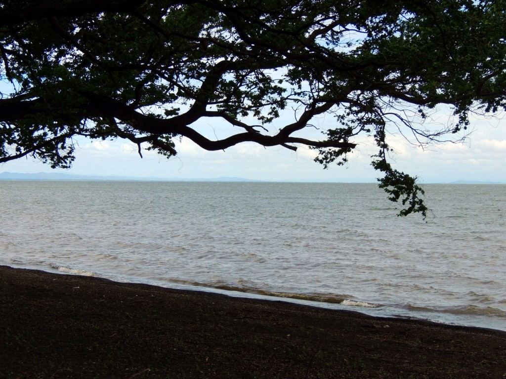 Foto: Playa Punta Jesús María - Ometepe,Punta Jesús María, Nicaragua