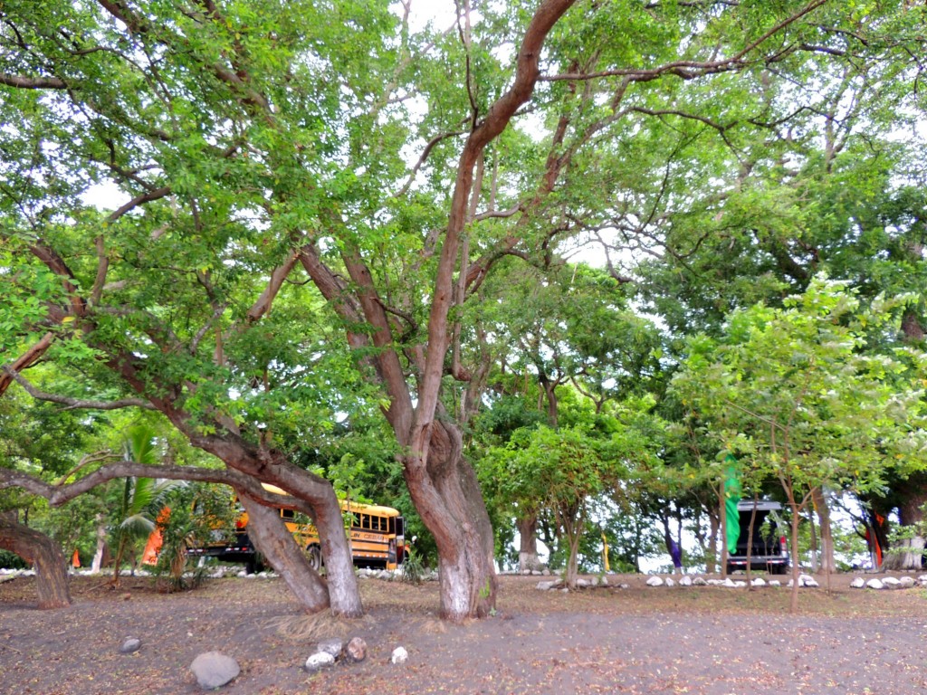 Foto: Playa Punta Jesús María - Ometepe,Punta Jesús María, Nicaragua