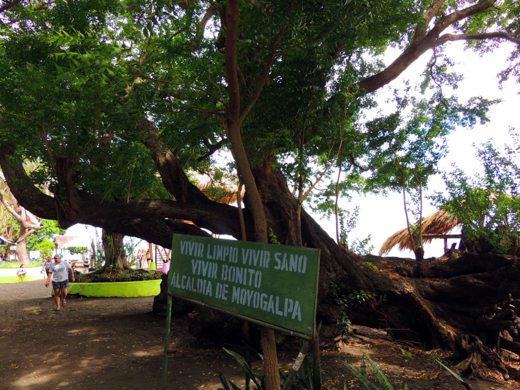 Foto: Playa Punta Jesús María - Ometepe,Punta Jesús María, Nicaragua