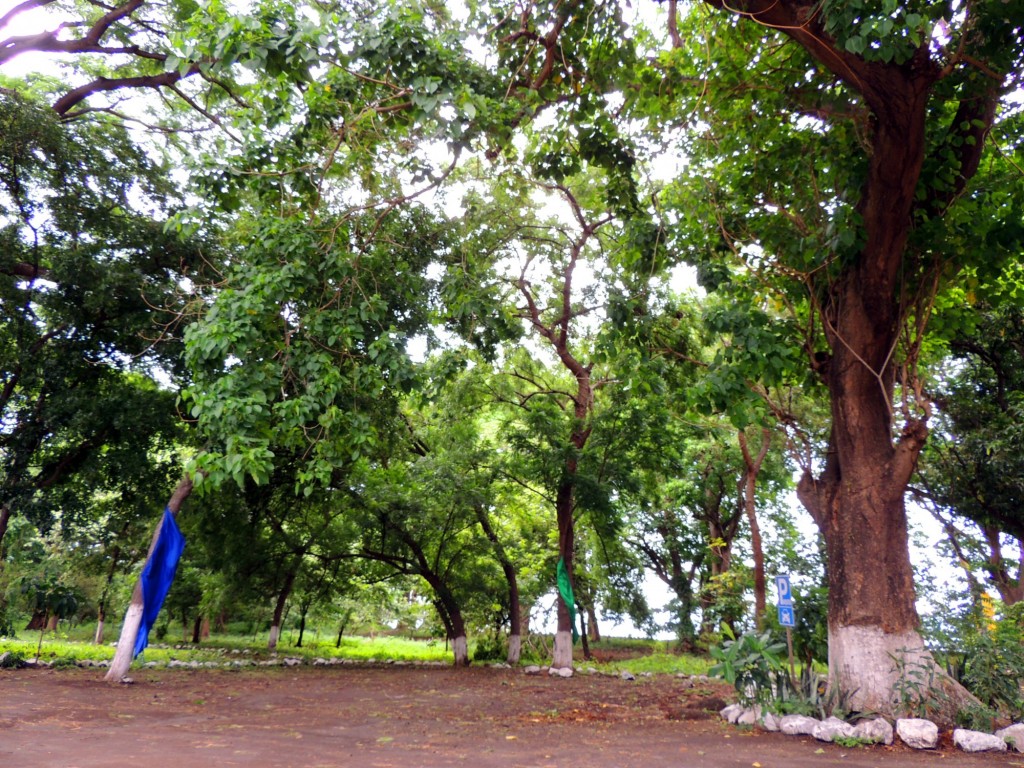 Foto: Playa Punta Jesús María - Ometepe,Punta Jesús María, Nicaragua