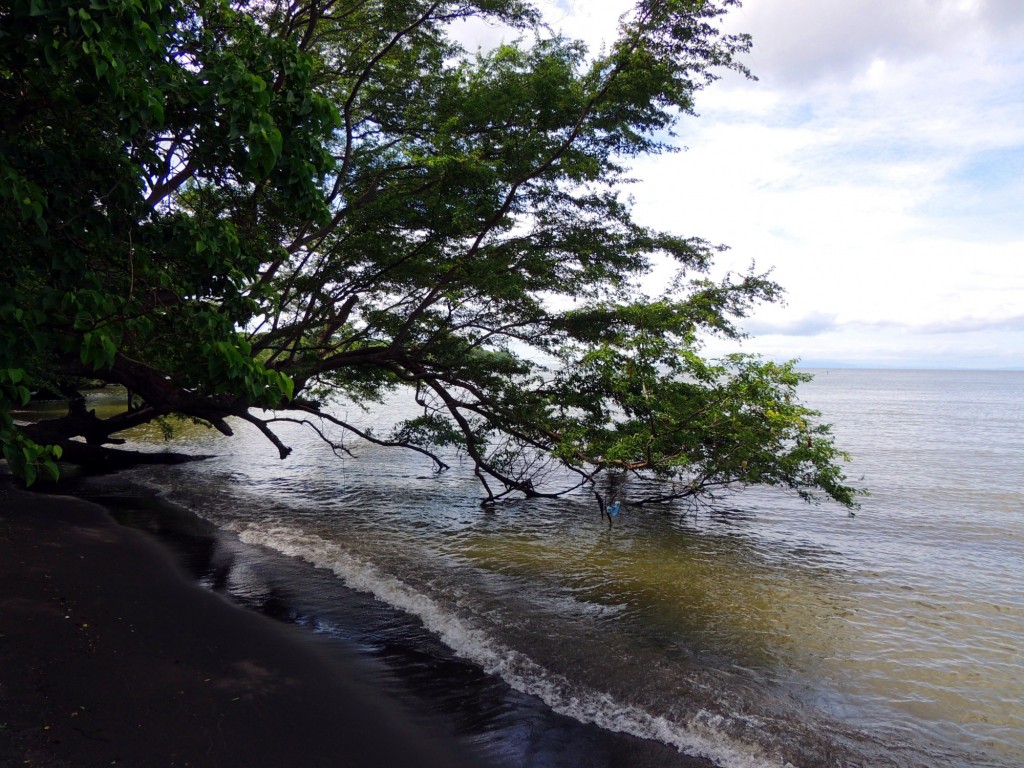 Foto: Playa Punta Jesús María - Ometepe,Punta Jesús María, Nicaragua