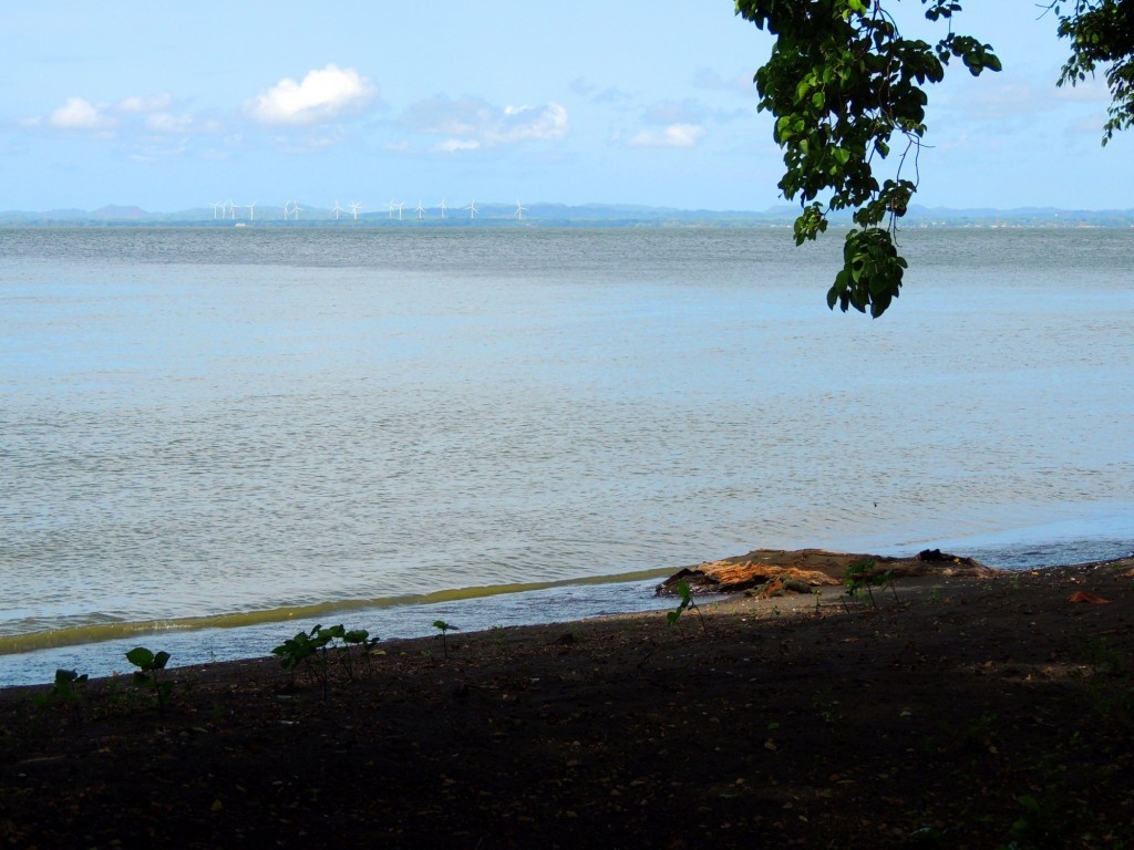 Foto: Playa Punta Jesús María - Ometepe,Punta Jesús María, Nicaragua