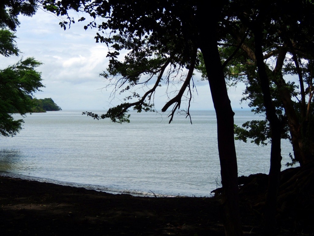 Foto: Playa Punta Jesús María - Ometepe,Punta Jesús María, Nicaragua