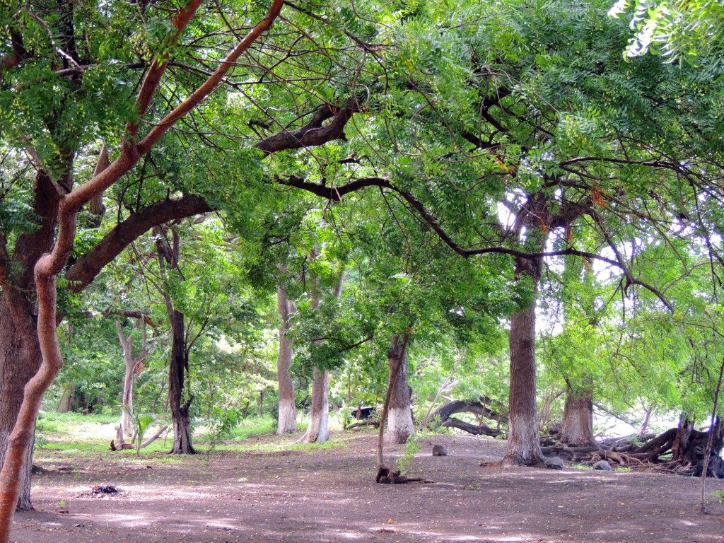 Foto: Playa Punta Jesús María - Ometepe,Punta Jesús María, Nicaragua