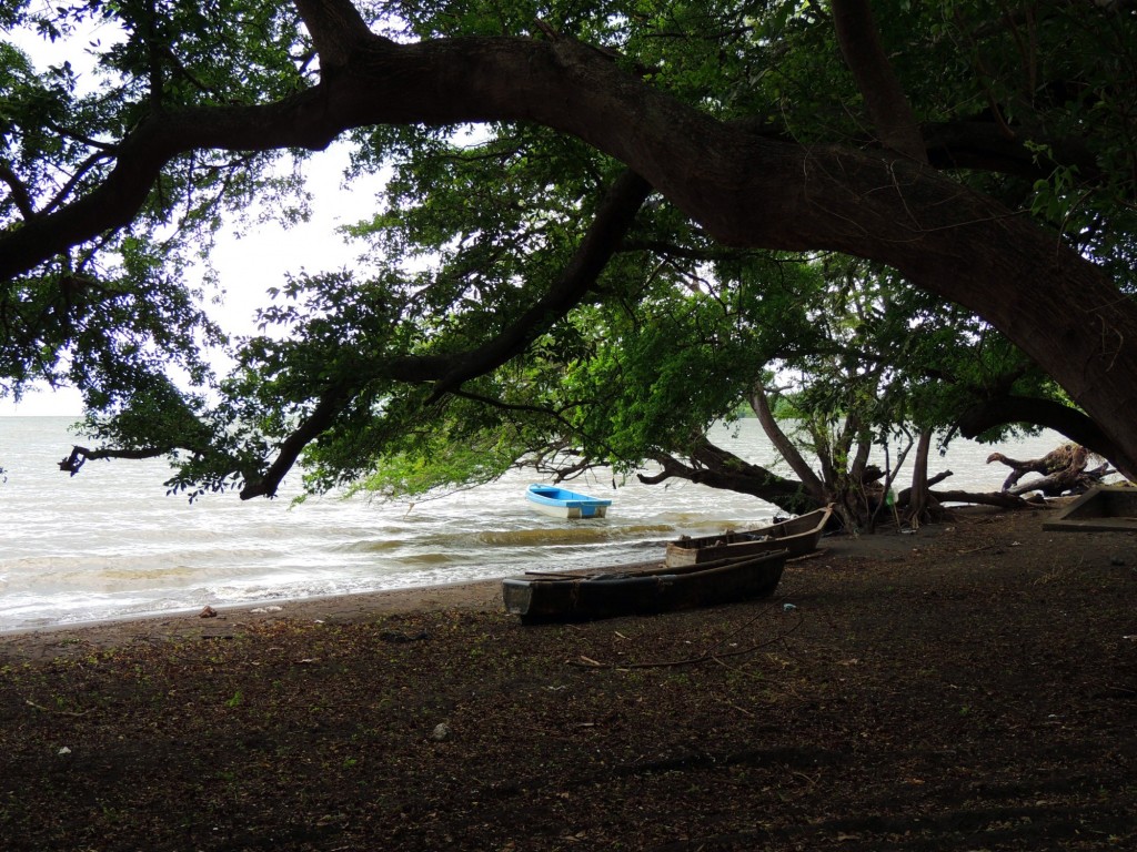 Foto: Playa Punta Jesús María - Ometepe,Punta Jesús María, Nicaragua