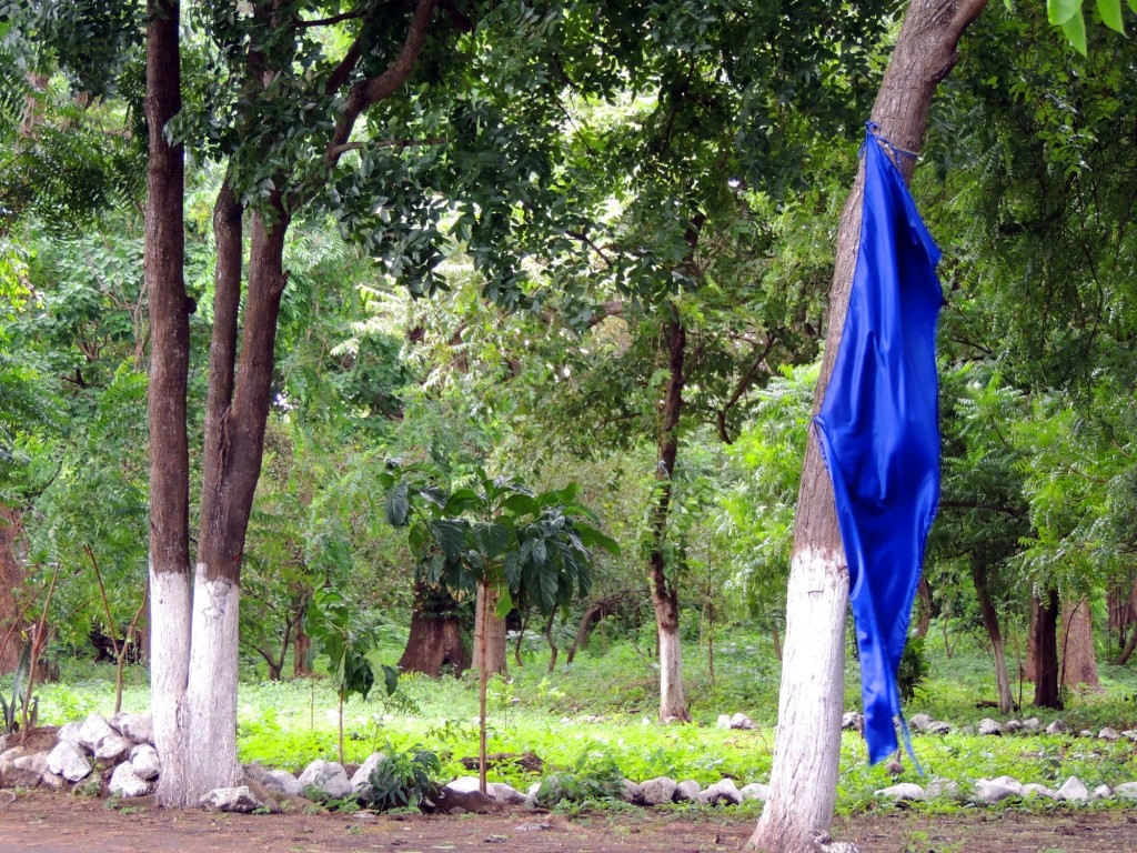 Foto: Playa Punta Jesús María - Ometepe,Punta Jesús María, Nicaragua