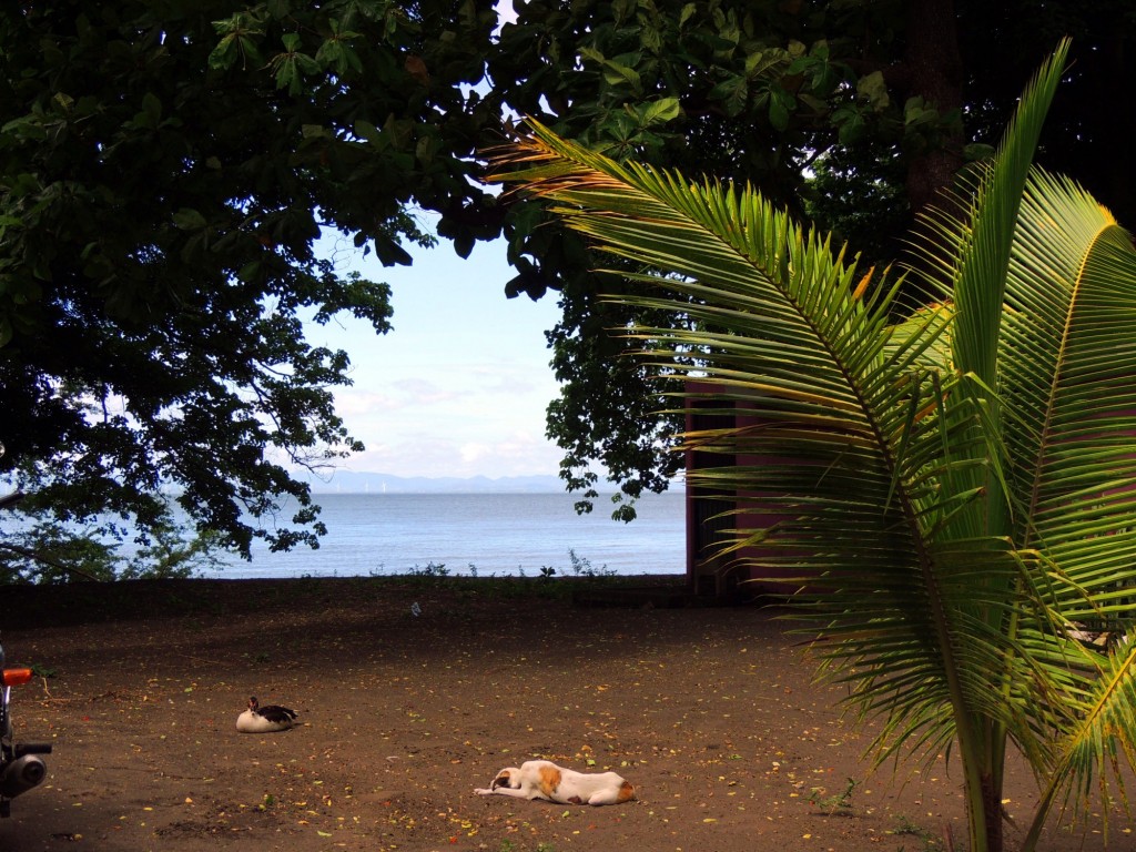 Foto: Playa Punta Jesús María - Ometepe,Punta Jesús María, Nicaragua