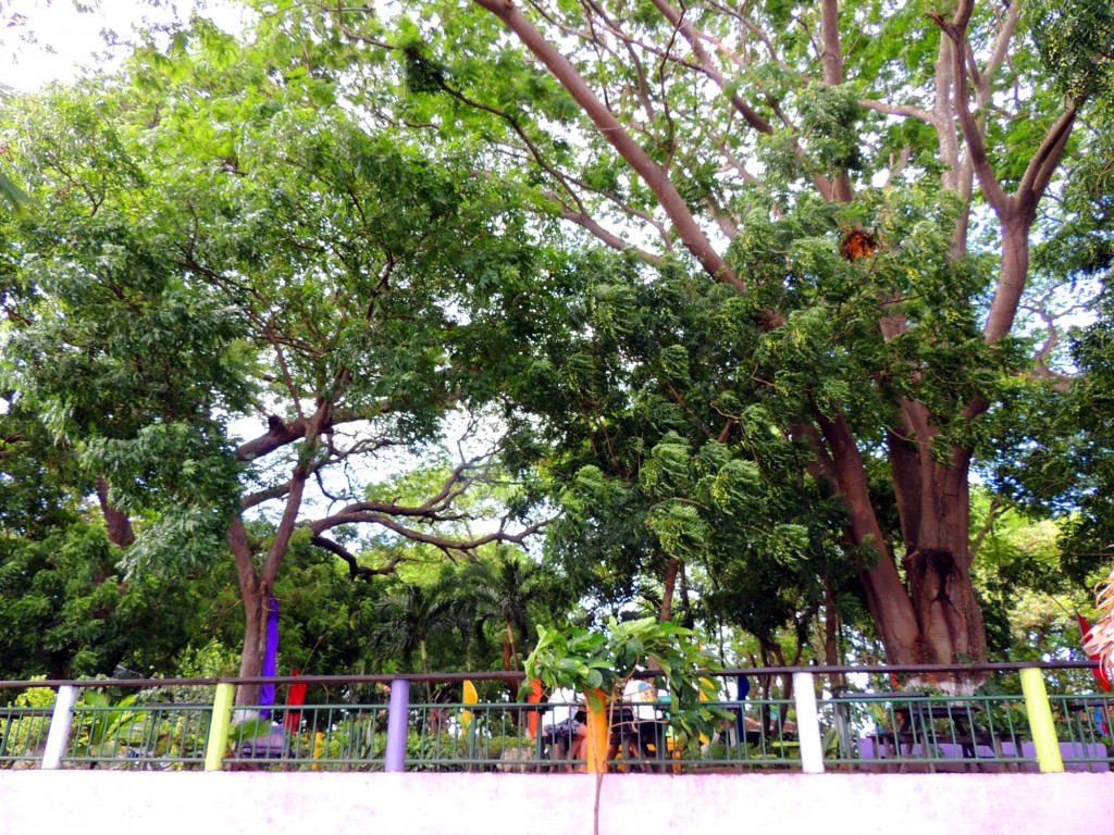 Foto: Playa Punta Jesús María - Ometepe,Punta Jesús María, Nicaragua