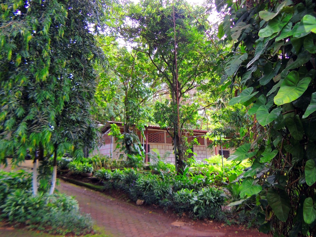 Foto: Mi Viejo Ranchito - Carretera Masaya (Masaya), Nicaragua