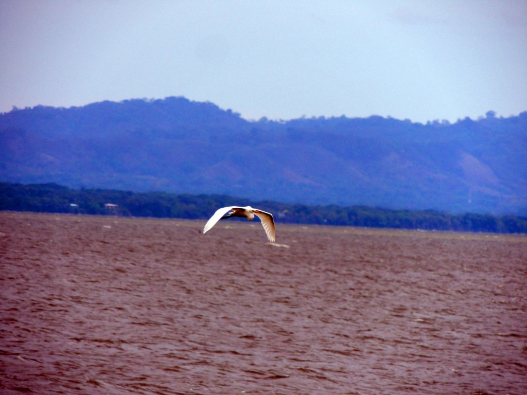 Foto: El Puerto San Jorge - Puerto San Jorge (Rivas), Nicaragua