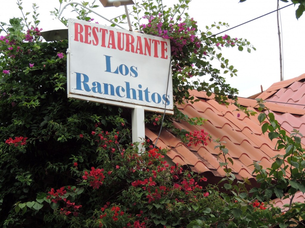 Foto: Moyogalpa - Moyogalpa, Ometepe, Nicaragua