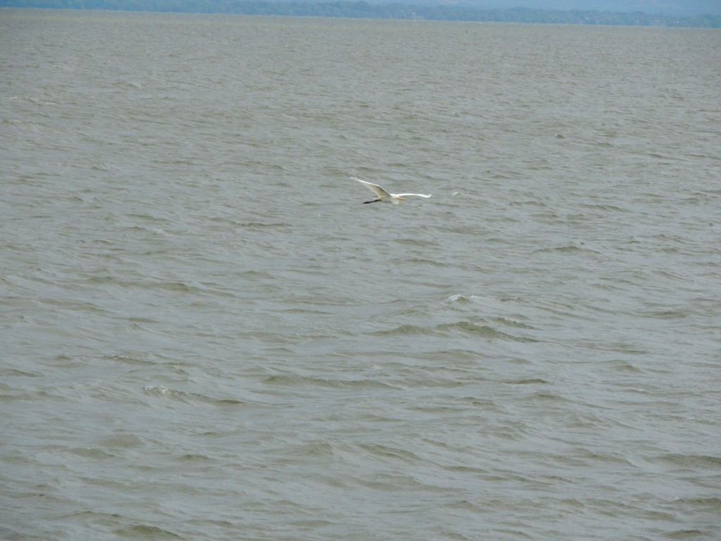 Foto: El Puerto San Jorge - Puerto San Jorge (Rivas), Nicaragua