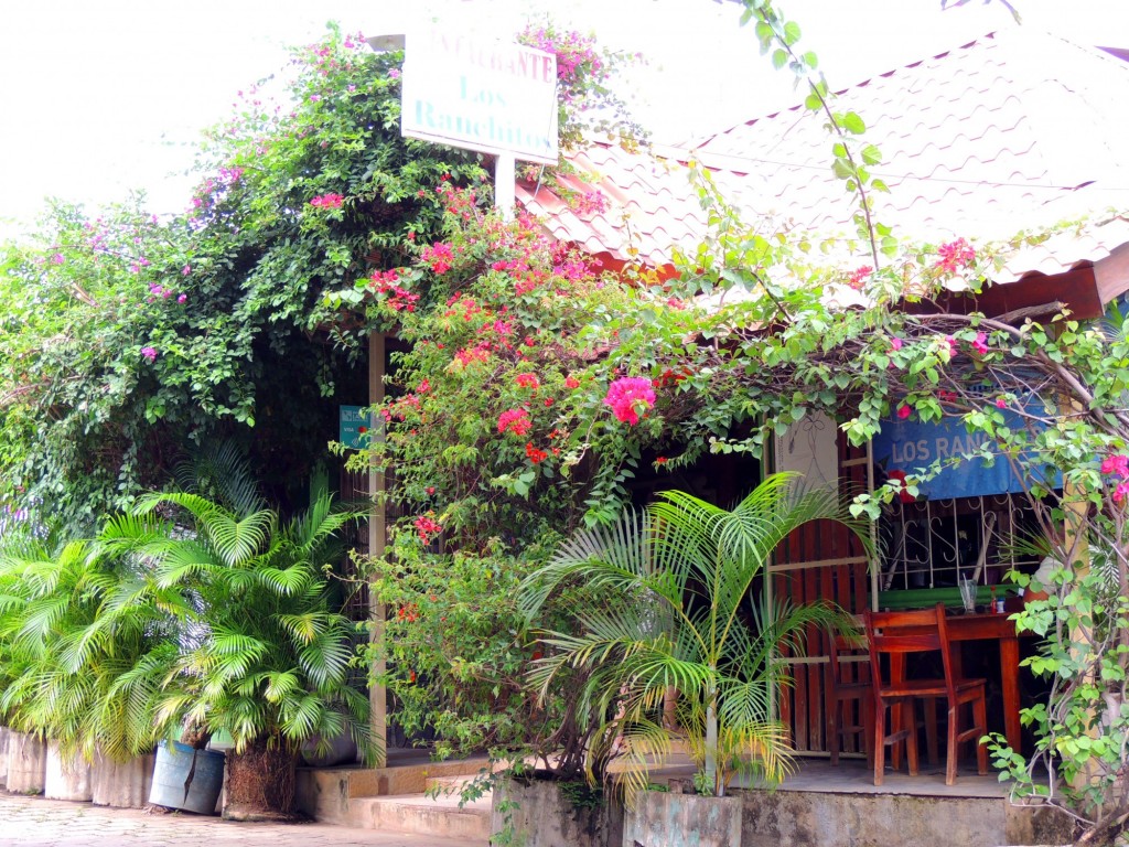 Foto: Moyogalpa - Moyogalpa, Ometepe, Nicaragua