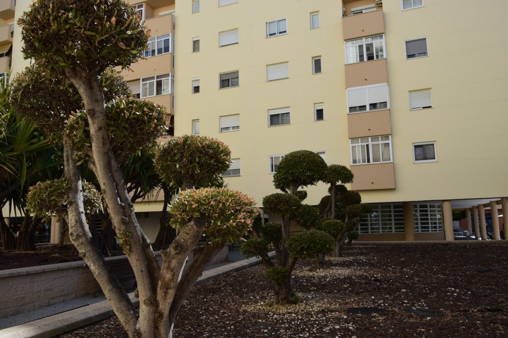 Foto de Cádiz (Andalucía), España