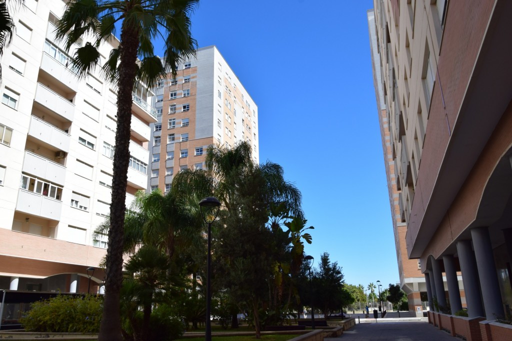 Foto: Paseo Luis Arenal, - Cádiz (Andalucía), España