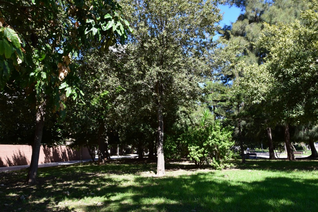 Foto: Parque Celestino Mutis - Cádiz (Andalucía), España