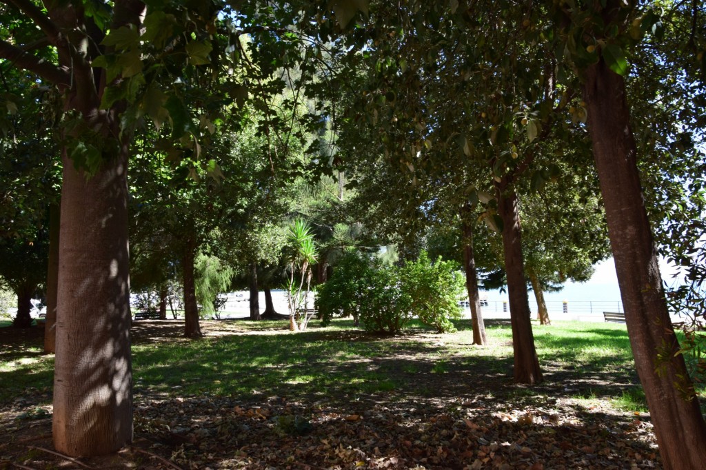 Foto: Parque Celestino Mutis - Cádiz (Andalucía), España