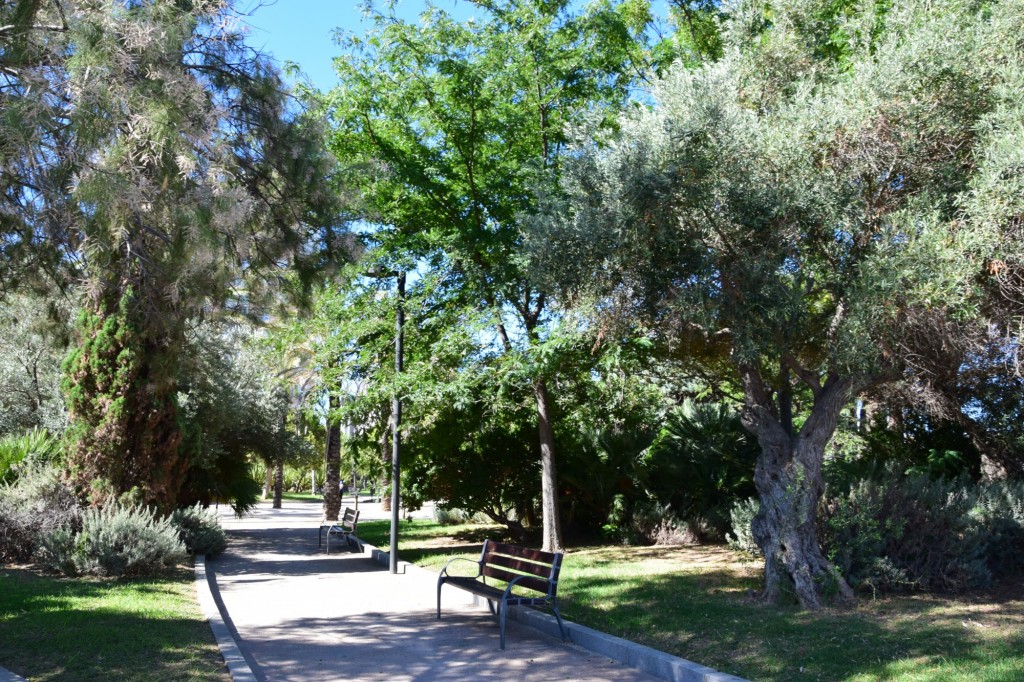 Foto: Parque Celestino Mutis - Cádiz (Andalucía), España