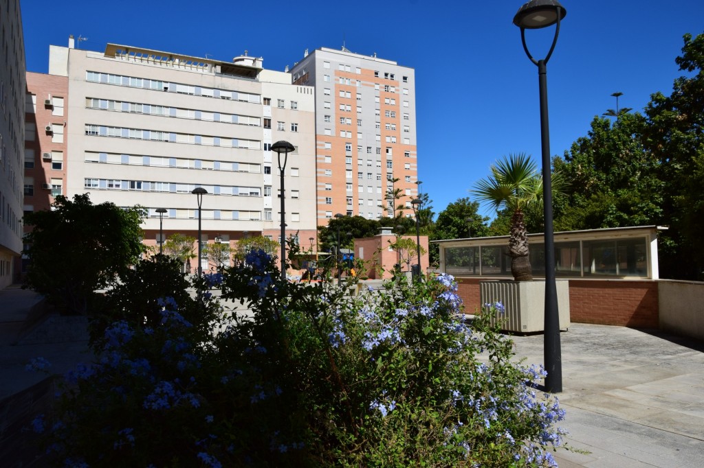 Foto: Parque Celestino Mutis - Cádiz (Andalucía), España