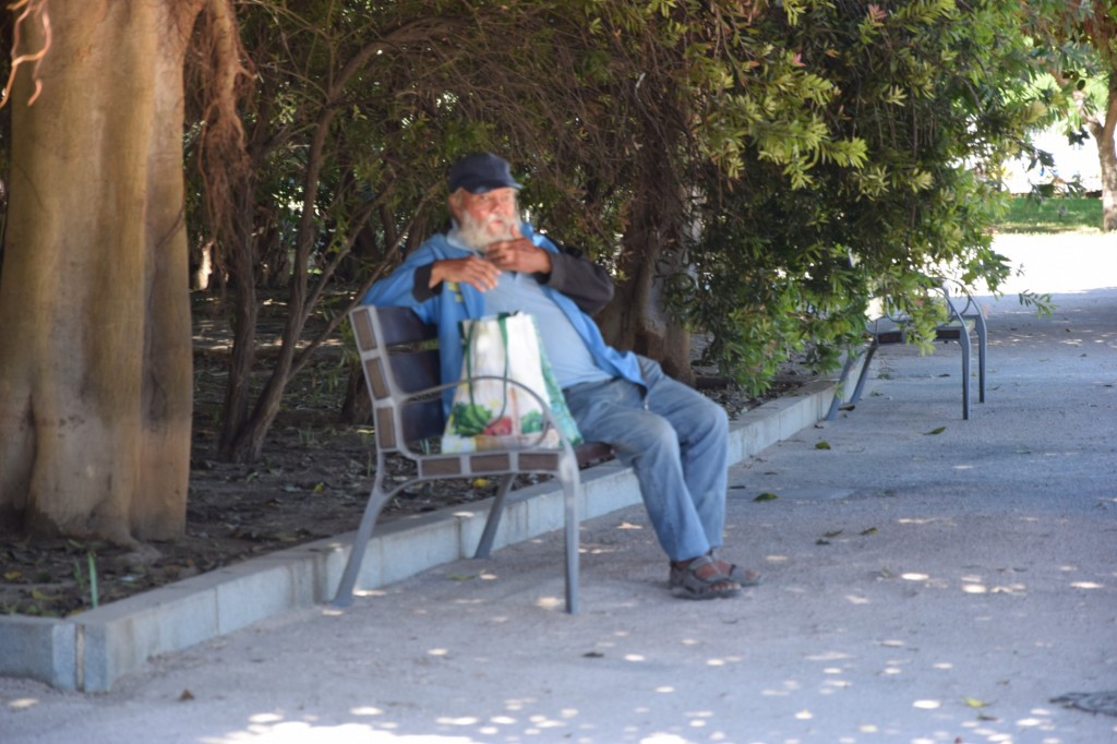 Foto: Parque Celestino Mutis - Cádiz (Andalucía), España