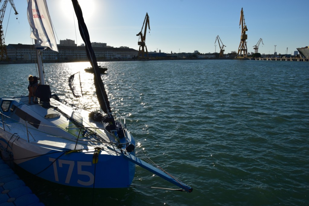Foto: Grand Rhino - Cádiz (Andalucía), España