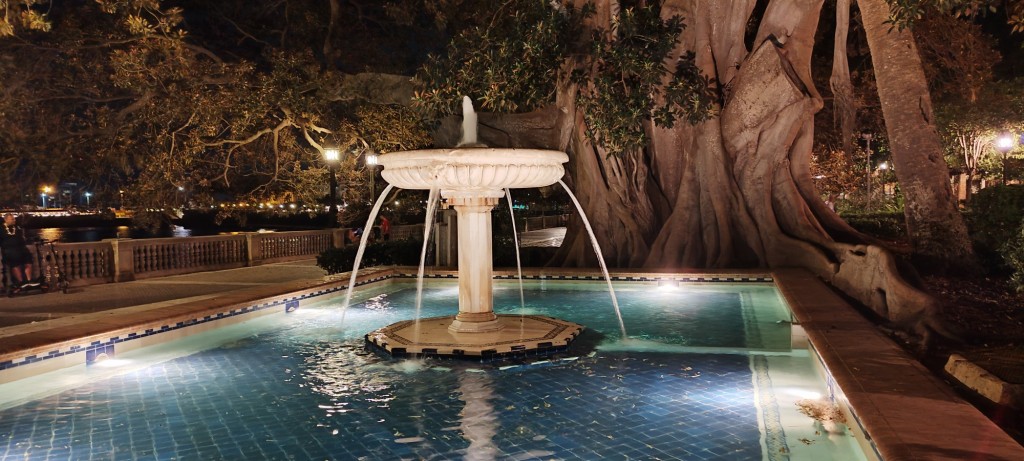 Foto: Fuente y Ficus centenario - Cádiz (Andalucía), España